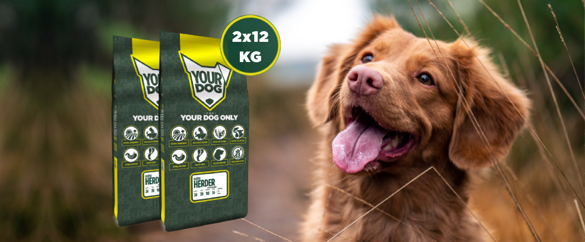 DUO-pack voordeel bij Yourdog