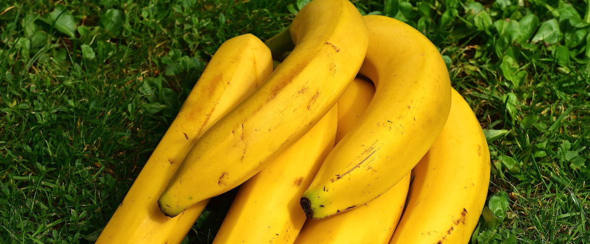 Banaan